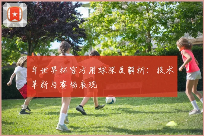 年世界杯官方用球深度解析：技术革新与赛场表现