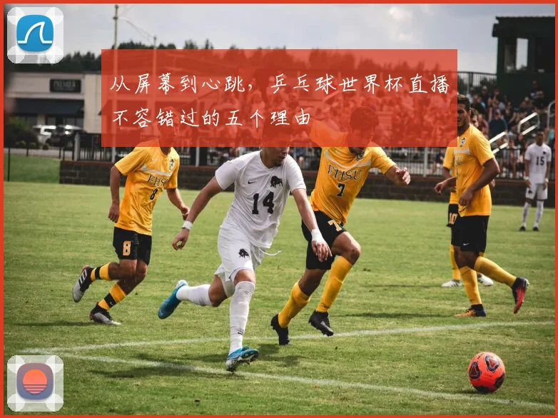 从屏幕到心跳，乒乓球世界杯直播不容错过的五个理由